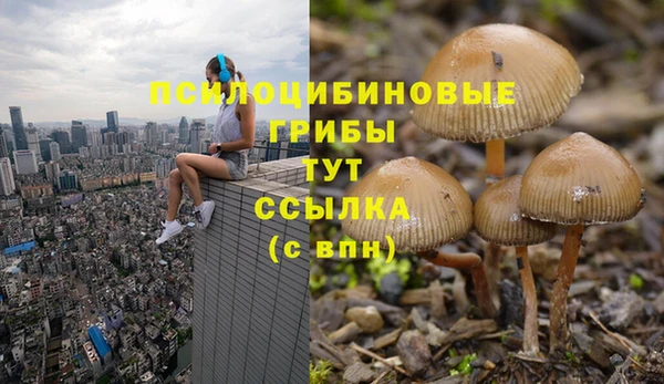 шишки Краснотурьинск
