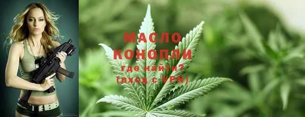 шишки Краснотурьинск