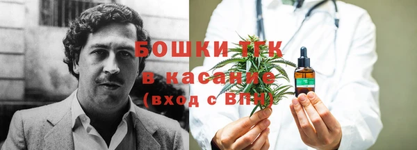 шишки Краснотурьинск