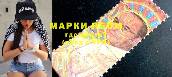 шишки Краснотурьинск