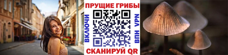Псилоцибиновые грибы GOLDEN TEACHER  Купить где  Пойковский 