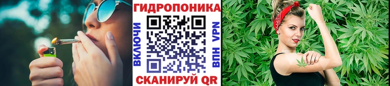 Купить где  Пойковский  МАРИХУАНА гибрид 